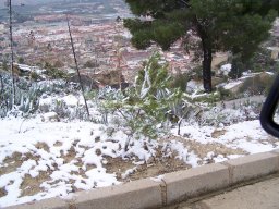 Ciudad de Mula con Nieve 2006